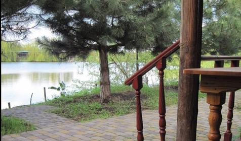 База отдыха Тихая гавань, ст. Медведовская