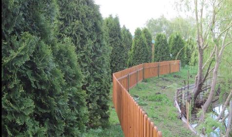 База отдыха Тихая гавань, ст. Медведовская