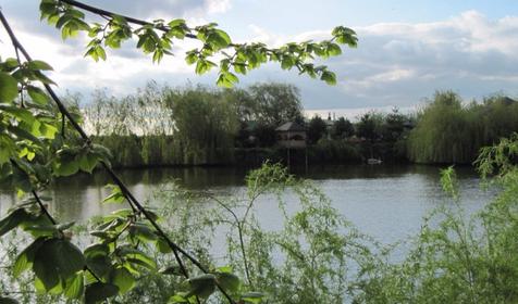 База отдыха Тихая гавань, ст. Медведовская