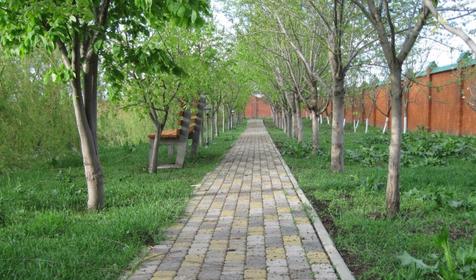 База отдыха Тихая гавань, ст. Медведовская