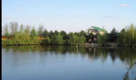 База отдыха Тихая гавань, ст. Медведовская