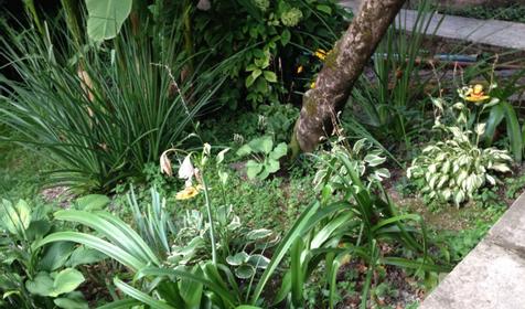 Тенистый дворик у Ларисы