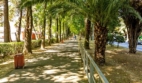 Адлерский р-н, г. Сочи