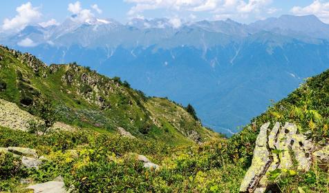 Адлерский р-н, г. Сочи