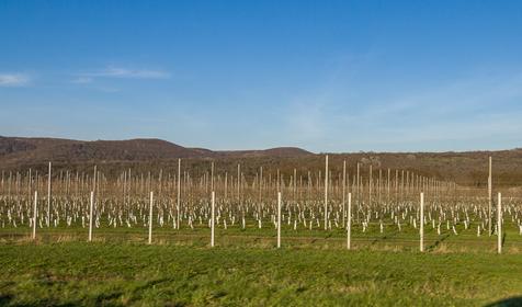 Тульский, Майкомпский район