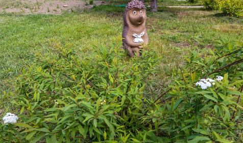 Отель Собер, р-н Северский, ст-ца Убинская