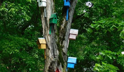 Парковая зона. Город Горячий Ключ