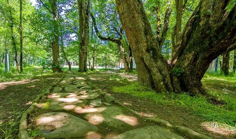 Гостевой дом "Поляна Убинская"