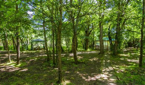 Гостевой дом "Поляна Убинская"