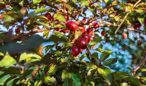 Лермонтово, Туапсинский р-н