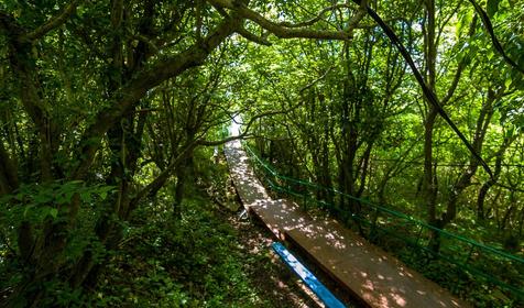 Туапсинский р-н, Бухта Инал