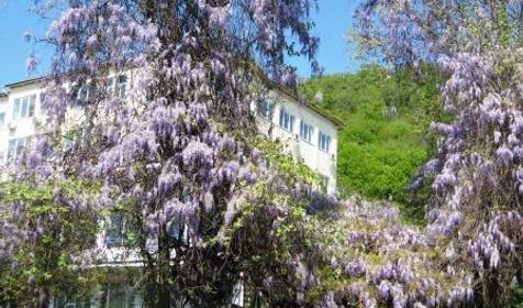 Санаторий Аврора, п. Аше