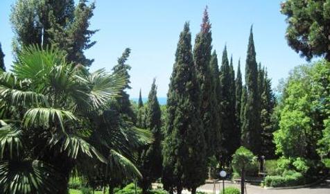 Санаторий Аврора, п. Аше