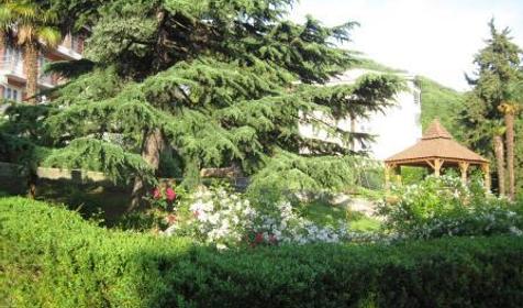 Санаторий Аврора, п. Аше