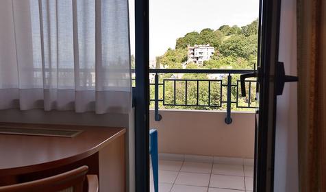 Двухместный стандарт