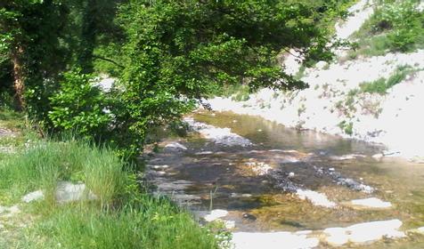 Гостевой дом Нижнее Макопсе, Лазаревский р-н, г. Сочи