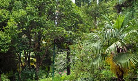 Санаторий Лазаревское, Сочи, п. Лазаревское