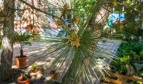 База отдыха Анастасия, бухта Инал