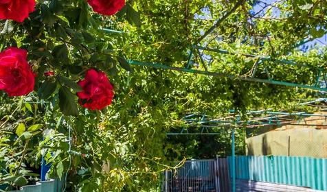 Гостевой дом Донна Роза, п. Лермонтово