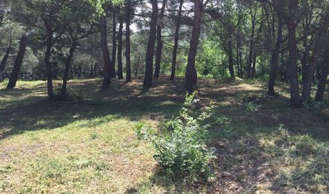 Автокемпинг Парус, п. Кабардинка