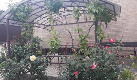 Гостевой дом Аленушка. Мысхако