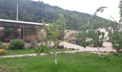 Гостевой дом Аленушка. Мысхако