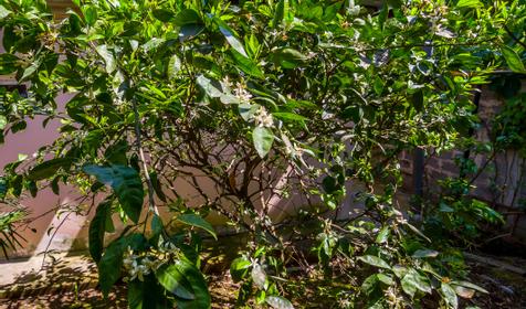 Гостевой дом Звездочка, г. Сочи, п. Лоо