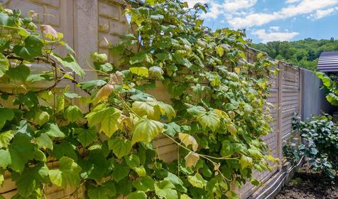 Вилла Va-Lensia, Лазаревский район, п. Лоо, Горный Воздух