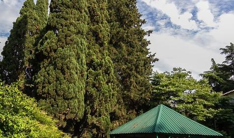 База отдыха У моря. Сочи, Лазаревское