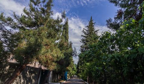 База отдыха У моря. Сочи, Лазаревское