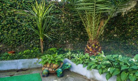 Гостевой дом Александра, г. Адлер