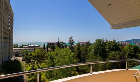 Люкс с кухней. Отель Ковчег, Адлерский район г. Сочи