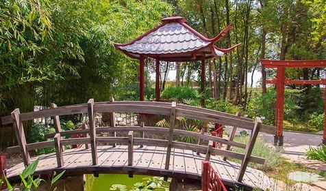 Санаторий им. Фрунзе, Сочи, Хостинский район