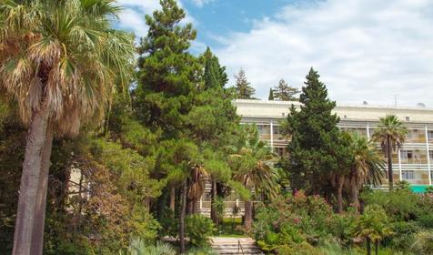 Санаторий им. Фрунзе, Сочи, Хостинский район