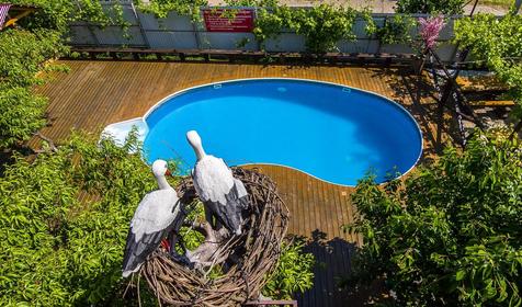 Гостевой дом Персиковый сад, г. Геленджик, п. Криница, с. Береговое