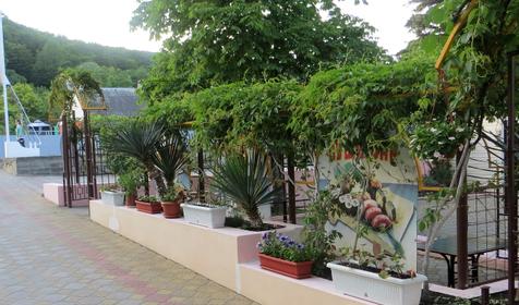 Гостиница Альбатрос, Туапсинский район, п. Новомихайловский