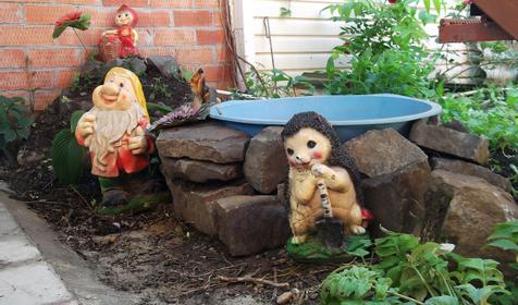 На улице Павлова