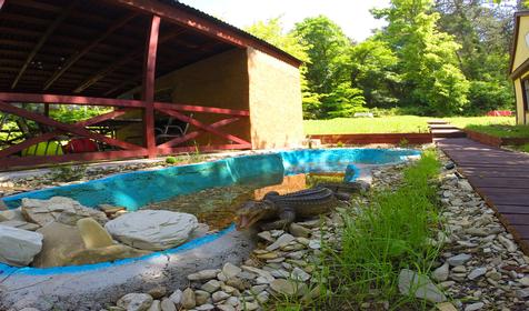 Сосновый бор