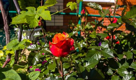 Частный дом "Уют", ст. Должанская