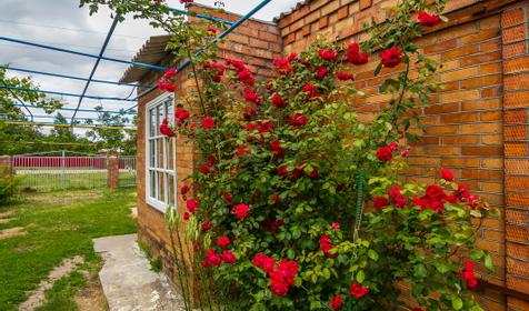 Частный дом "Уютный уголок", Ейский р-н, ст. Должанская