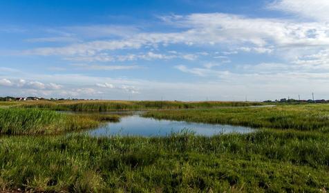 Должанская. Ейский район