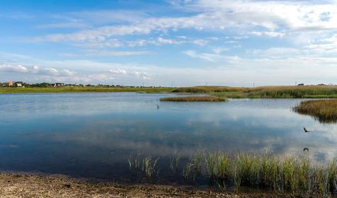 Должанская. Ейский район