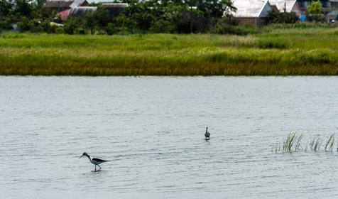 Должанская. Ейский район