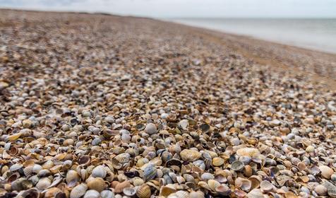 Должанская. Ейский район