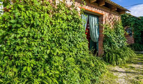 Гостевой дом Анастасия, ст. Должанская