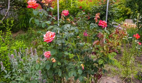 Домик для отдыха. г. Ейск