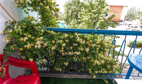 Двухместный. База отдыха Голубая лагуна, г. Ейск