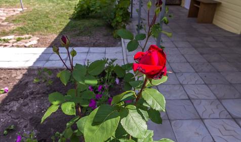 Гостевой двор Наталья, г. Ейск