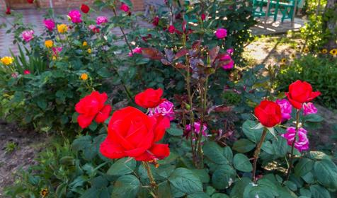 Частная мини-гостиница на ул. Чапаева 26, г. Ейск