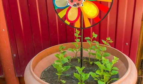 Гостевой дом Лара, Ейск